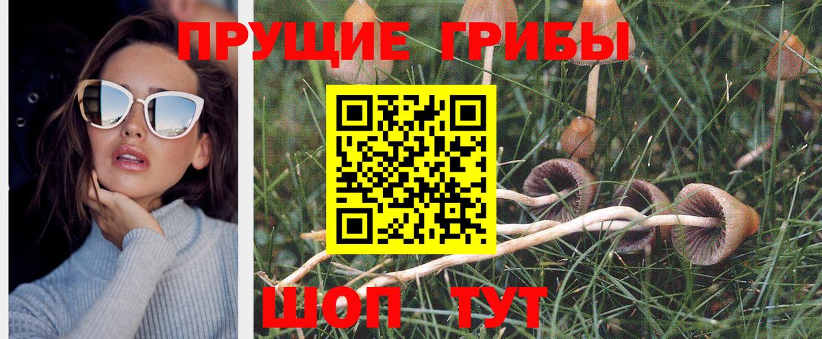 Псилоцибиновые грибы ЛСД  Псилоцибиновые грибы Psilocybine cubensis  Шебекино  Вход с VPN 