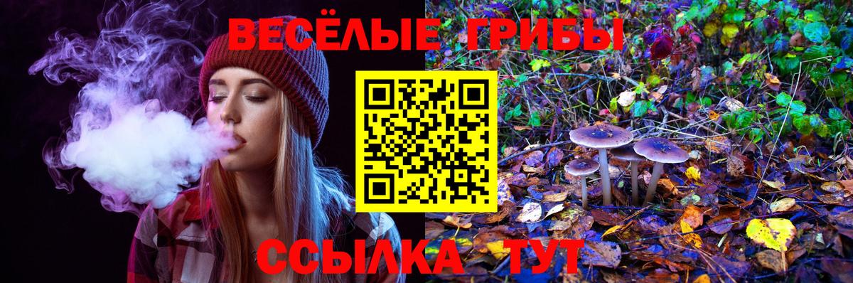 Псилоцибиновые грибы Cubensis Шебекино